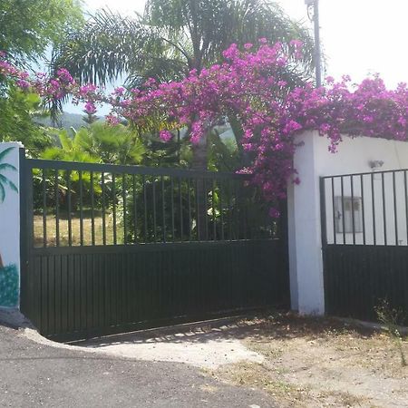 Finca Las Palmeras Icod de los Vinos Kültér fotó