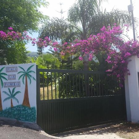 Finca Las Palmeras Icod de los Vinos Kültér fotó