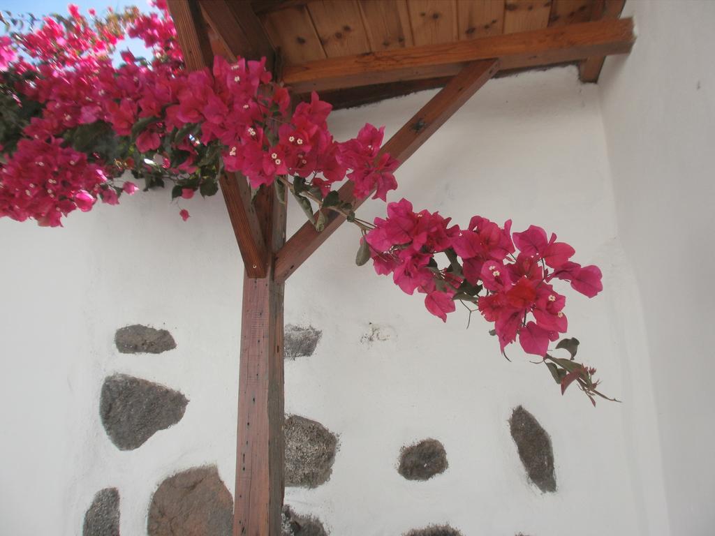 Finca Las Palmeras Icod de los Vinos Kültér fotó