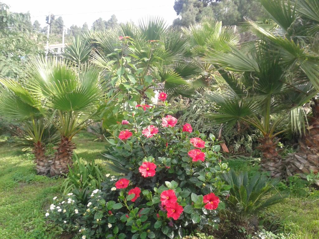 Finca Las Palmeras Icod de los Vinos Kültér fotó