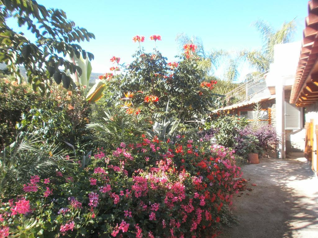 Finca Las Palmeras Icod de los Vinos Szoba fotó