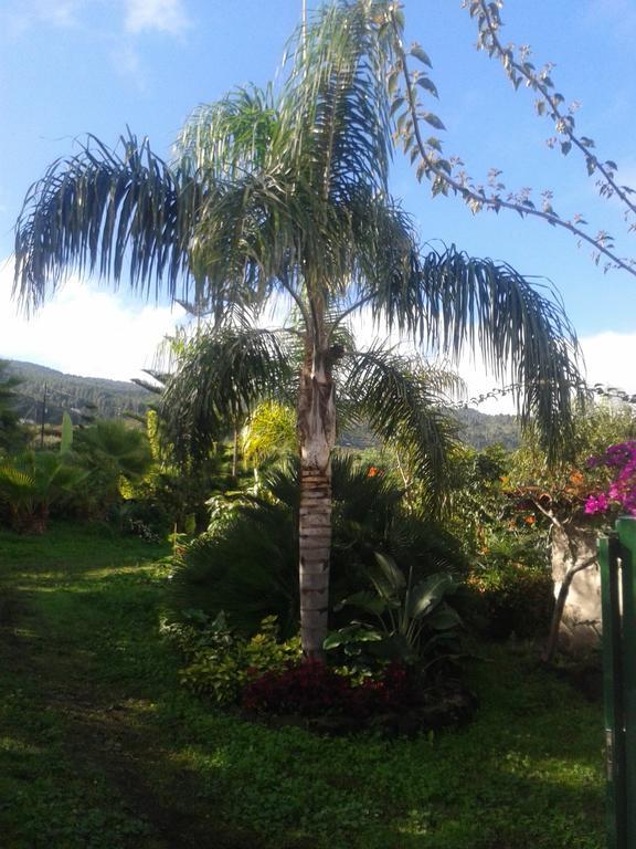 Finca Las Palmeras Icod de los Vinos Szoba fotó