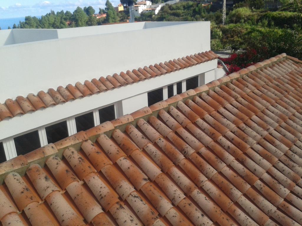 Finca Las Palmeras Icod de los Vinos Szoba fotó