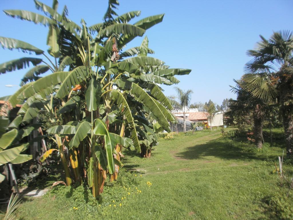 Finca Las Palmeras Icod de los Vinos Szoba fotó