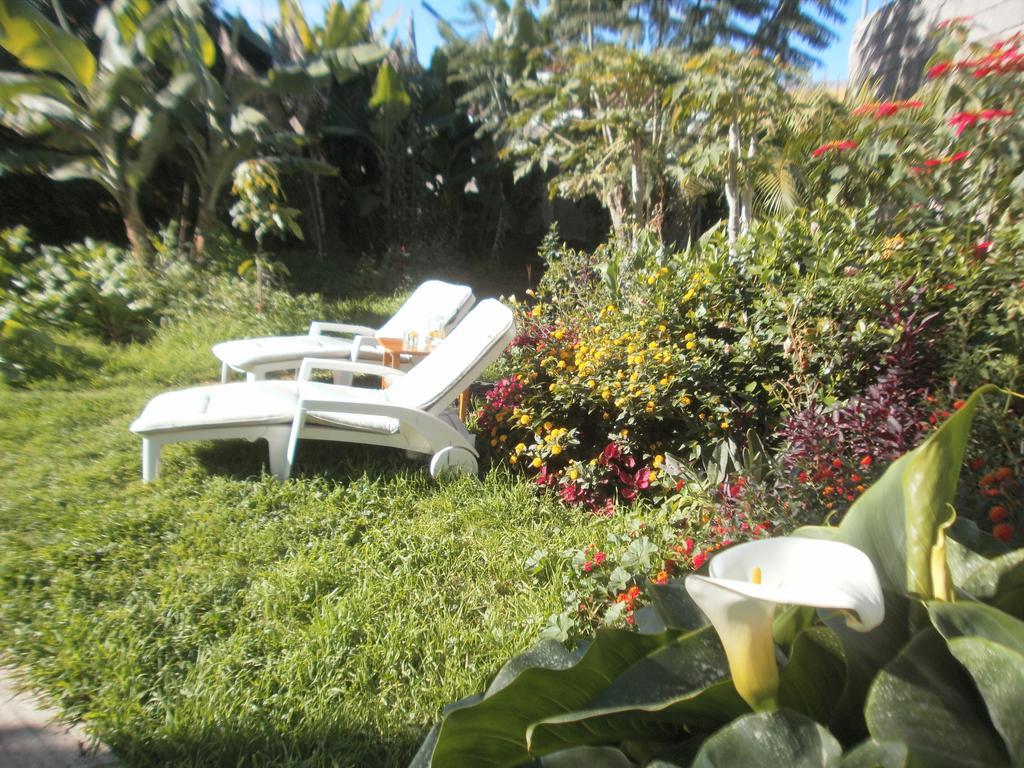 Finca Las Palmeras Icod de los Vinos Szoba fotó