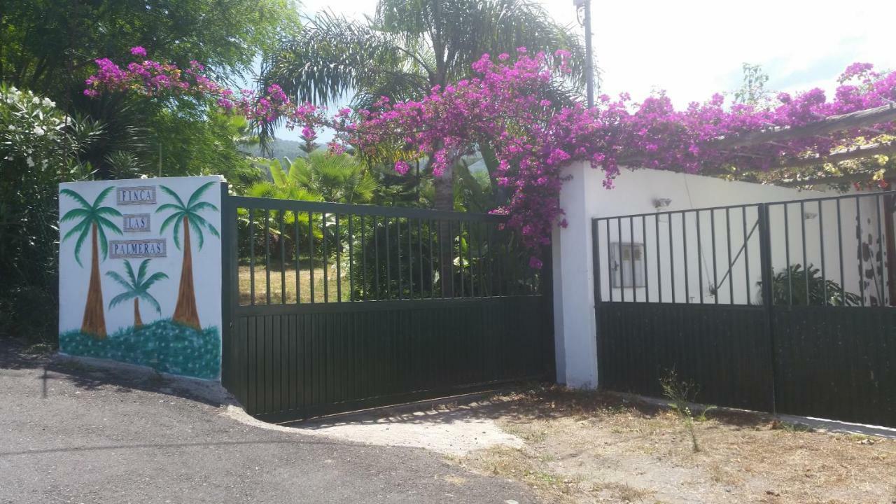 Finca Las Palmeras Icod de los Vinos Kültér fotó