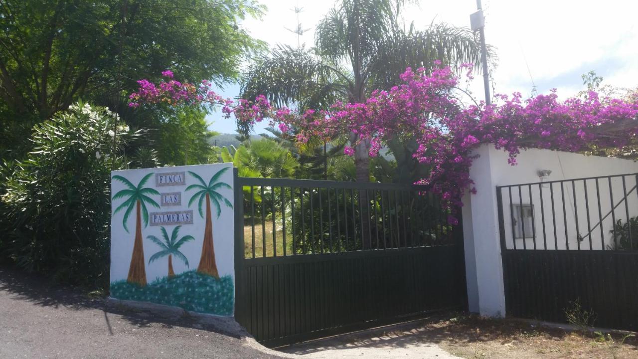 Finca Las Palmeras Icod de los Vinos Kültér fotó